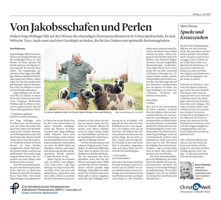 Von Jakobsschafen und Perlen