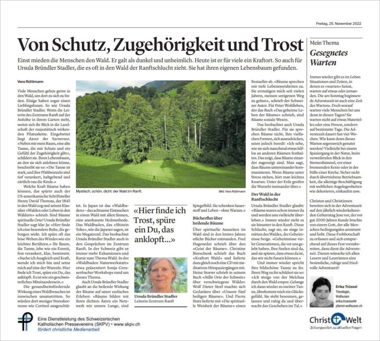Von Schutz, Zugehörigkeit und Trost
